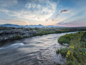 A peaceful mountain stream flows through a grassy landscape at sunset, with soft ripples in the water and yellow wildflowers blooming along the bank. Distant mountain peaks are silhouetted against a colorful sky streaked with clouds and fading light.