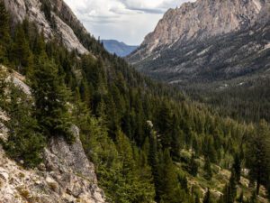 Sawtooth Mountains in Idaho with rugged granite peaks rising above a dense pine forest valley under dramatic gray clouds.